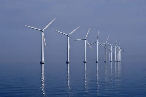 Types Of Renewable Energy, Offshore Wind Farms, Farm Projects, Offshore Wind, Wind Turbines, Wind Farm, Wind Energy, Wind Power, Clean Energy