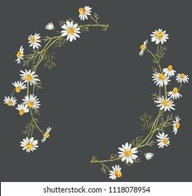 Daisy Wreath Illustration, Daisy Wreath Tattoo, Chamomile Flowers Drawing, Chamomile Flower Tattoo, Chamomile Tattoo, Flower Wreath Drawing, Chamomile Illustration, Sumerian Civilization, Flower Wreath Illustration