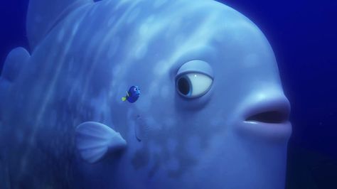 Finding Dory 2016 Wallpaper 00021 - Baltana Dory Characters, 2016 Wallpaper, Blue Tang Fish, Disney Print, Keep Swimming, Finding Dory, Blue Fish, Animation Screencaps, Finding Nemo