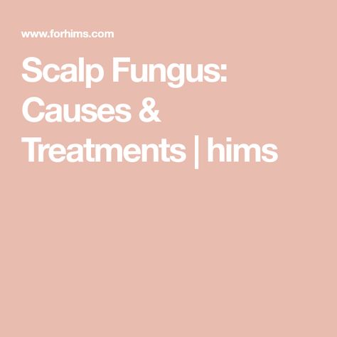 Scalp Fungus: Causes & Treatments | hims Scalp Fungus, Scarring Alopecia, Types Of Fungi, Bald Patches, Male Pattern Baldness, Pattern Baldness, Skin Redness, Scalp Conditions, Scar Tissue