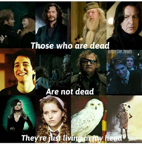 To all the characters who died in Harry Potter Harry Potter Scene, Harry Potter Actors, Mischief Managed, Harry Potter, Funny Memes, My Life, Actors, Memes, Funny