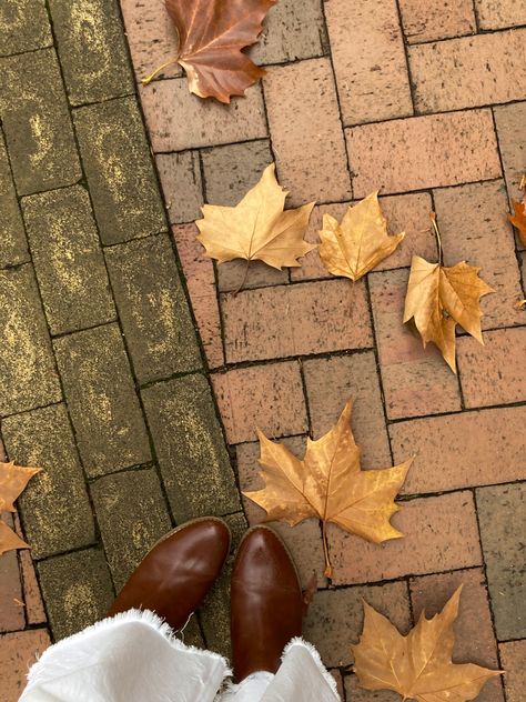 Autumn Walk Aesthetic, Fall Village Aesthetic, Autumn Town Aesthetic, Autumn At Hogwarts Aesthetic, European Fall, Autumn Aesthetic Downtown Girl, Video Collage, Gilmore Girls Seasons, Gilmore Girl