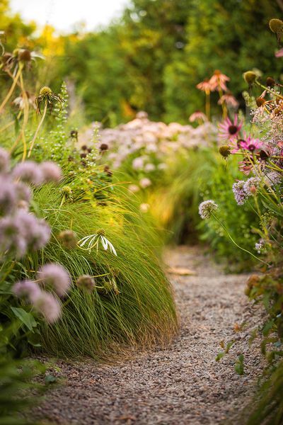 Gravel Walkway, Gravel Pathway, Prairie Planting, Prairie Garden, Meadow Garden, Gravel Path, Gravel Garden, Wildflower Garden, Native Garden