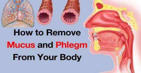 A feeling excess of mucus in your throat is a highly unfavorable sensation. A buildup can have you feeling as if something is stuck, and the urge to clear your throat can be both persistent and frustrating. In many cases, an infection in the upper respiratory tract may be the cause, however, conditions like allergies,... Mullein Tea, Sinus Problems, Stomach Acid, Packaged Food, Acid Reflux, Natural Home Remedies, Juicing Lemons, Stuffed Hot Peppers, Home Remedies