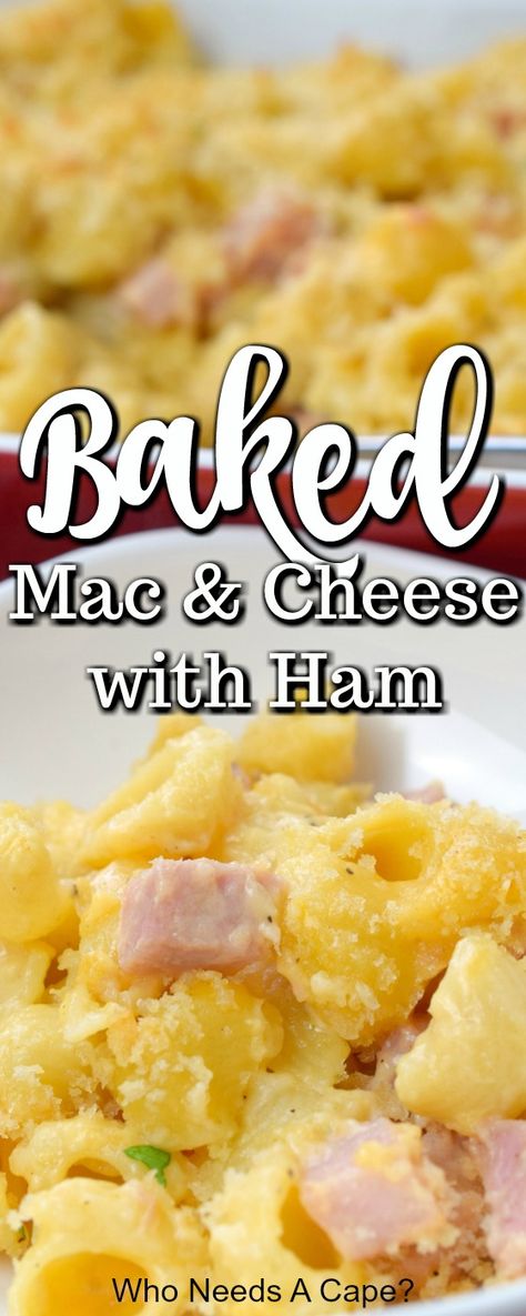 Baked Mac And Cheese Recipe With Ham, Creamy Mac And Cheese With Ham, Macaroni And Cheese Casserole With Meat, Ham And Cheese Recipes Dinners, Ham And Cheese Dinner Ideas, Ham Steak Pasta Recipes, Mac And Cheese And Ham Casserole, Ham Cheese Casserole Dinners, Ham Mac And Cheese Recipe