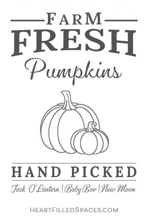 Free Fall Printables, Farm Fresh Pumpkins, Pumpkin Printable, Autumn Home Decor, Cricut Halloween, Free Falling, Fall Printables, Fall Svg, Autumn Crafts