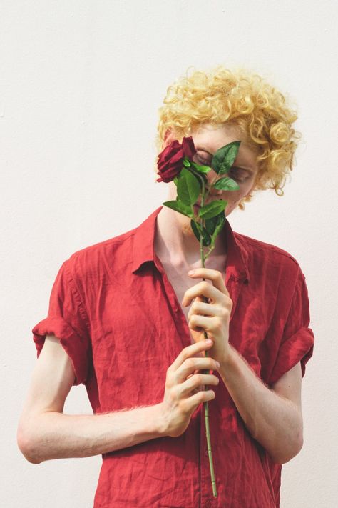 Man Wearing Red Dress Shirt Holding Red Rose · Free Stock Photo Hair Blonde Curly, Red Dress Shirt, Rose Reference, Red Shirt Dress, Blonde Curly Hair, Online Comics, Body Reference Drawing, Human Poses Reference, Cool Poses