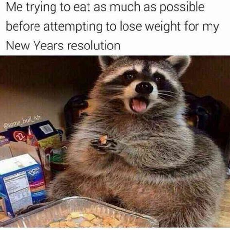 30 Best Funny Memes About The New Year That Are Guaranteed To Make You Laugh | YourTango New Year Resolution Meme, New Years Eve Meme, New Year Humor, Funny New Years Memes, Funny New Years Eve, New Years Resolution Funny, New Year Quotes Funny Hilarious, Happy New Year Funny, New Years Eve Quotes