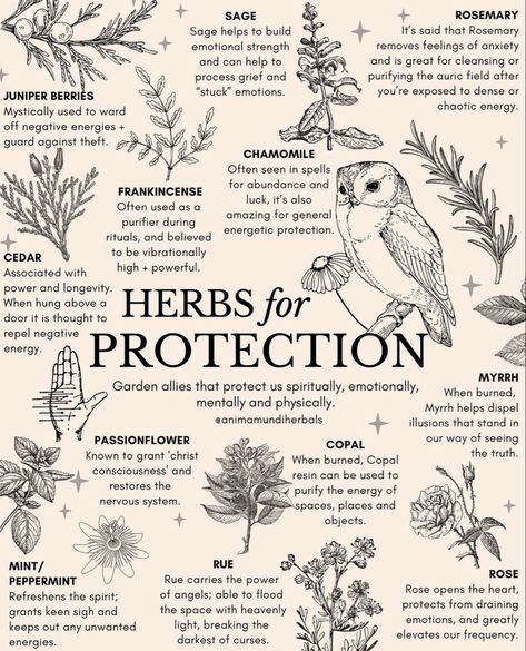 Herbs For Protection, Nervus Vagus, Green Witchcraft, Magic Herbs, Magical Herbs, Herbal Apothecary, Emotional Strength, Witch Spell Book, Herbal Healing