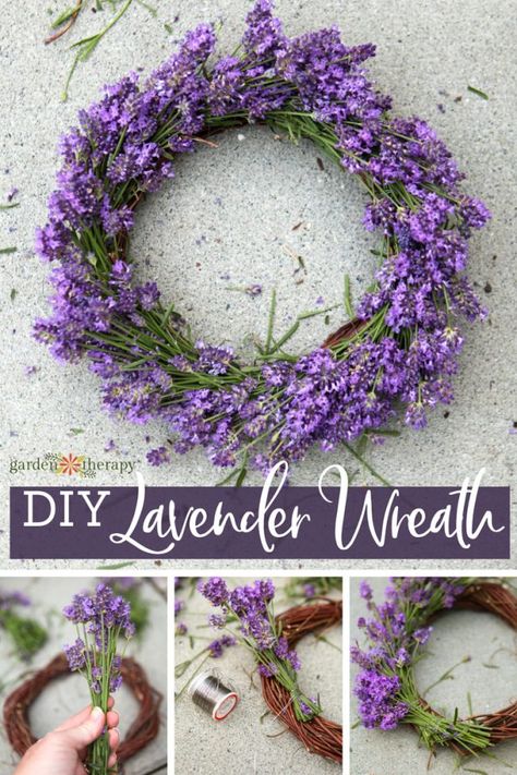 DIY Lavender Wreath - Garden Therapy Lavender Projects, Lavender Things, Harvest Lavender, Lavender Wreaths, Lavender Diy, Outdoor Friends, Lavender Uses, Dekoratívne Vence, Twig Crafts