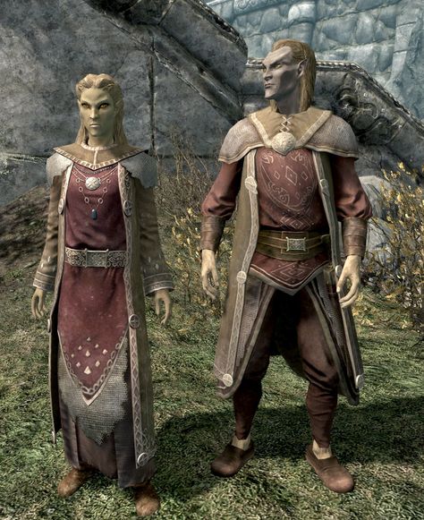 Altmer (Skyrim) | Elder Scrolls | Fandom Skyrim Races, Skyrim Elder Scrolls, Scrolls Game, Fantasy Genre, Bard College, Night Elf, Pointed Ears, High Elf, The Elder Scrolls