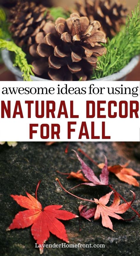 Fall Mushrooms Decor, Diy Nature Halloween Decor, Fall Decor Ideas Using Pine Cones, Decorating For Fall With Nature, Fall Decor Using Nature, How To Decorate For Autumn, Nature Inspired Fall Decor, Sustainable Fall Decorations, Diy Acorn Decor