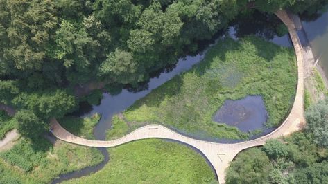 Wetlands Boardwalks | Kew Cedar Shingle Roof, Wetland Park, Park Landscape, Seed Bank, Natural Park, Kew Gardens, Locally Grown, Plant Species, Nature Reserve