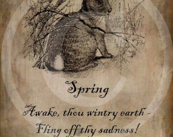 Spring Poem, Bee Printables, Primitive Design, Easter Pictures, Vintage Rabbit, Vintage Bunny, Bunny Art, Easter Rabbit, How To Make Pillows