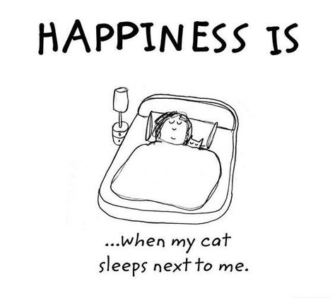 I ❤️❤️❤️ this!!!! I ❤️❤️❤️❤️ my kitties!!! My Pillow, Terry Pratchett, Cat Quotes, Cat Sleeping, Cat Person, Cats Meow, All About Cats, Happiness Is, My Cat