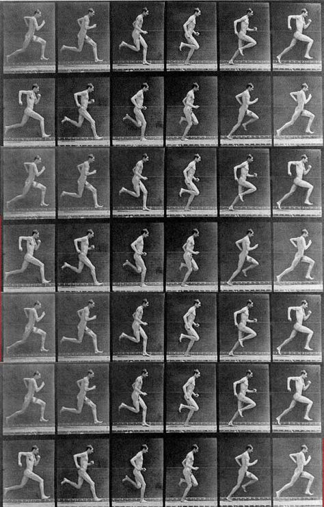 Muybridge Figure Practice, Drawing Methods, Movement Photography, Eadweard Muybridge, Manga Tutorial, Motion Photography, Figure Reference, Twelfth Night, Pose References