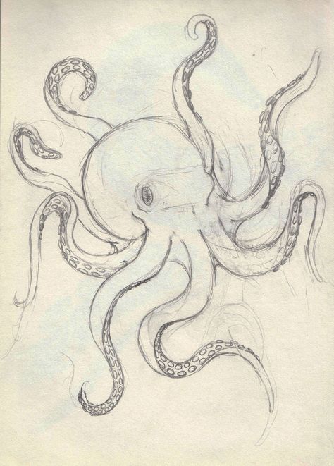 Sketches Of Octopus, Octopus Drawing Tutorial, Drawing Ideas Octopus, Octopus Sketch Drawings, Cool Octopus Drawing, Drawing An Octopus, Out Of The Ordinary Art, Octopus Sketch Simple, Octopus Cute Drawing