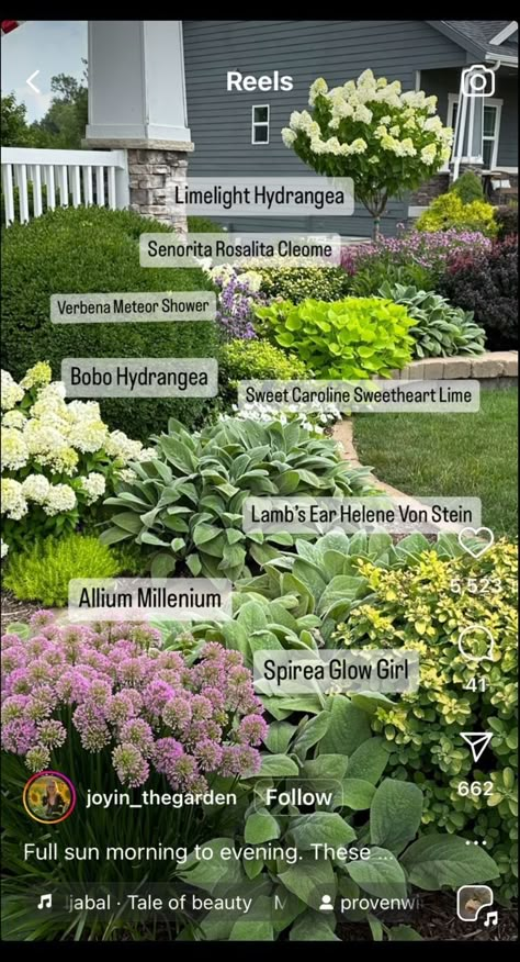 Front Garden Landscape, Front Yard Garden Design, Sweet Caroline, Front Landscaping, Home Landscaping, Garden Yard Ideas, Front Yard Garden, Design Exterior, House Landscape