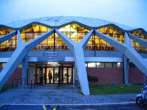 Flying Buttress Modern, Sport Architecture, Pier Luigi Nervi, Building Engineer, Mod House, Flying Buttress, Architecture Sculpture, Sport Pictures, Painted Concrete