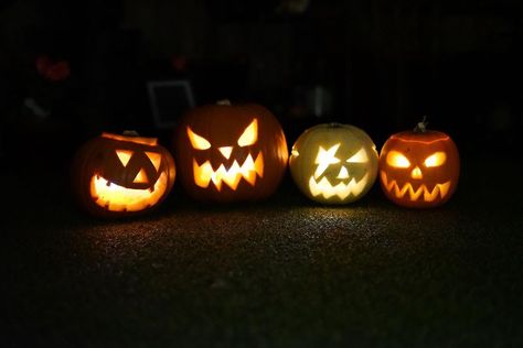 PaddingtonTube on Instagram: “Paddington Underground station would like to wish you all an amazing Halloween. Pumpkins carved by one of our Supervisors and his family…” Underground Station, Pumpkin Carving, Halloween Pumpkins, Pumpkins, Carving, Holidays, Halloween, On Instagram, Instagram