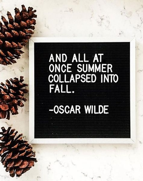 Fall Letterboard Quotes You Really Autumn Know - DIY Darlin' Back To School Letterboard, Fall Letterboard Quotes, Fall Letterboard, Letterboard Sayings, Summer Collapsed Into Fall, Letterboard Ideas, Letterboard Signs, Board Sayings, Letterboard Quotes