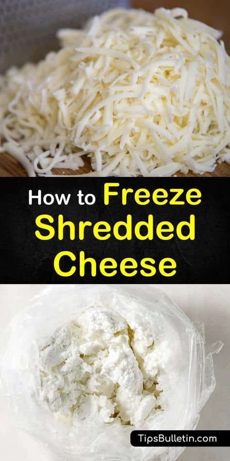 Yes, you can freeze shredded cheese. Learn the best methods for freezing, storing, and thawing shredded cheeses. These tips and tricks will show you the best strategies based on the type of cheese, its size, and condition. #freeze #shredded #cheese Freezing Shredded Cheese, Freezing Cheese, Freezing Food Guide, Cheese Recipes Homemade, Different Cheeses, Freezing Vegetables, Freezable Meals, Stuffed Mushroom, Cheese Dishes