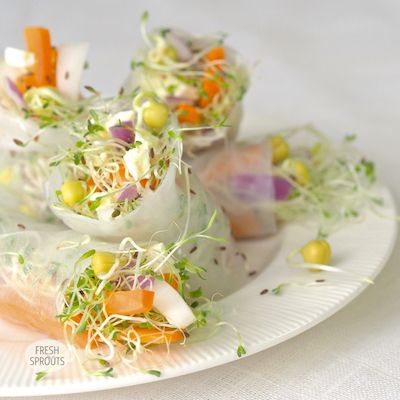 Rice rolls with sprouts of radish and clover grown in your kitchen spouter. A delicious vegan recipe with your homegrown sprouts. Recipes With Sprouts, Dips And Snacks, Microgreens Recipe, Sprouts Recipes, Green Juice Smoothie, Radish Sprouts, Rice Rolls, Spring Roll Recipe, Alfalfa Sprouts