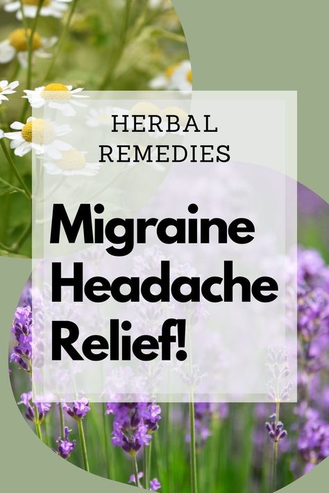 natural remedies for back pain relief Herbal Migraine Remedies, Herbs For Headache, Herbs For Migraines Headache Relief, Herbal Headache Relief, Headache Tincture Recipe, Tea For Migraines Headache Relief, Herbs For Headaches Migraine Relief, Natural Remedy For Headache, Natural Headache Relief Migraine