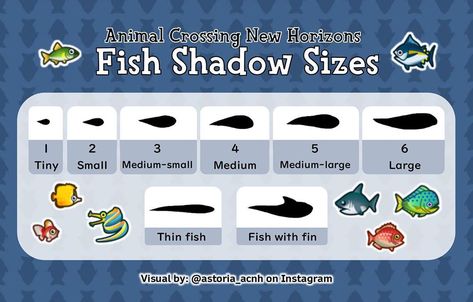 32.2k Likes, 154 Comments - Hi✨ (@astoria_acnh) on Instagram: “🦈Fish Shadow Sizes🦈 • Hopefully this clears up the number scale I use for my monthly new fish…” Animal Crossing Fish, Animal Crossing Town Tune, Animal Crossing Music, Nintendo Switch Animal Crossing, Animal Crossing New Horizon, Acnh Cottagecore, Animal Crossing Funny, Animal Crossing Memes, Animal Crossing Guide