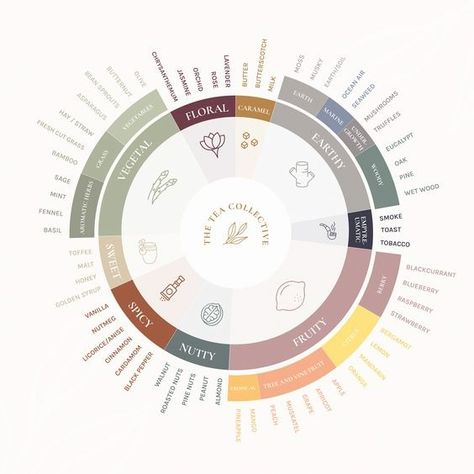 Tea Pairings Chart, Tea Business Ideas, Tea Knowledge, Tea Sommelier, Tea Pairings, Flavor Wheel, Tea Infographic, Tea Journal, Tea Business