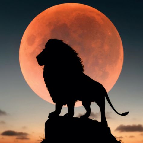 Lion king, full red moon, silhouette wallpaper, hd image, picture, background, 5bce02 | wallpapersmug Wallpaper Lion King, Wallpaper Lion, Backgrounds For Iphone, Macbook Wallpapers, Wallpapers Ipad, Moon Silhouette, Phone Android, Lion Wallpaper, Ipad Wallpapers