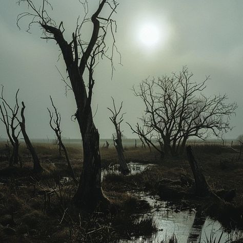 The landscape captures a dreary and haunting feeling with barren trees silhouetted against a foggy backdrop. A narrow stream meanders through the scene under a dimly visible sun, creating a stark contrast with the gloomy atmosphere. The mists add a layer of mystery to the area, emphasizing the solitude and eerie silence prevalent in the setting. Hellish Landscape, Gloomy Landscape, Barren Landscape, Misty Landscape, Foggy Day, Dark Landscape, Light Cyan, Purple Christmas, Image Downloads