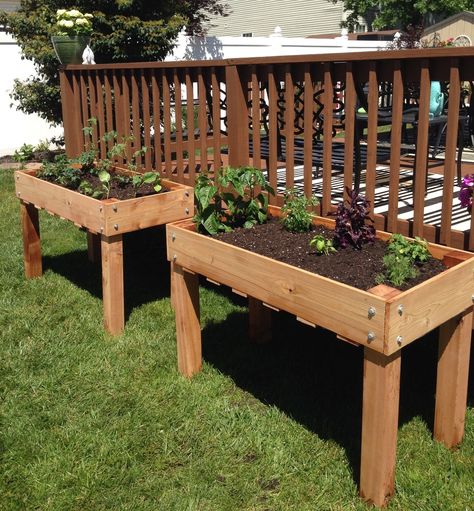 Above Ground Garden, Funny Vine, Raised Garden Bed Plans, Raised Bed Garden Design, Elevated Gardening, Garden Boxes Raised, Building A Raised Garden, Diy Raised Garden, Raised Garden Beds Diy