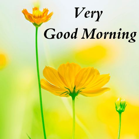 Very good morning images Very Good Morning Images, Good Morning Smiley, Special Good Morning, Lovely Good Morning Images, Good Morning Images Download, Positive Good Morning Quotes, Morning Quotes Images, Good Morning Images Hd, Good Morning Wallpaper