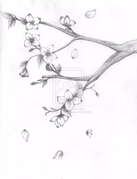 Cherry Blossom Drawing Pencil, Sakura Sketch Flower, Cherry Blossom Tree Drawing Pencil, Sakura Tree Sketch, Sakura Tree Drawing, Tree Pencil Drawing, Sakura Sketch, Tree Pencil Sketch, Japanese Cherry Blossom Tree