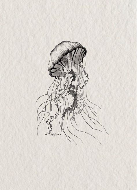 Jellyfish Tattoo On Back, Medusa Jellyfish Tattoo, Lions Mane Jellyfish Tattoo, Black Jellyfish Tattoo, Jellyfish Tattoo Black And White, Jellyfish Tattoo Forearm, Space Jellyfish Tattoo, Jellyfish Ink Drawing, Jellyfish Rib Tattoo