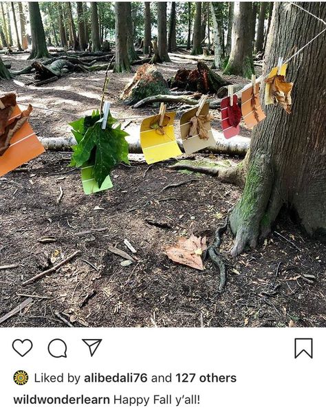 Forest School Preschool, Forest Unit Preschool, Forest School Garden Ideas, Preschool Forest Activities, Forest School Aesthetic, Forest School Games, Forest School Activities Preschool, Forest School Set Up, Forest Activities For Preschool