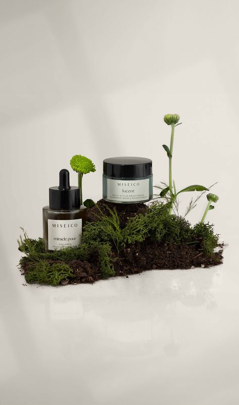 Green packaging for sustainable skincare brand. Skincare aesthetic / skincare photo ideas / skincare still life Sustainable Beauty Aesthetic, Skincare Catalog Design, Green Skincare Packaging, Ear Sculpture, Skincare Moodboard, Skincare Products Aesthetic, Green Apothecary, Skincare Photo, Plant Packaging