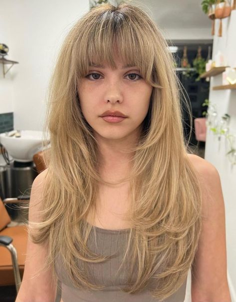 Long Feathered Hair with Brow-Grazing Bangs Long Hair Half Up Half Down With Bangs, Butterfly Haircut With Full Bangs, Midi Length Hairstyles, Mid Length Hair With Fringe Bangs, Hidden Bangs, Hair With Wispy Bangs, Bang Inspo, 2024 Haircut, Layered Haircuts With Bangs