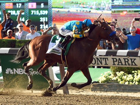 Cool facts about Triple Crown winner American Pharoah Thoroughbred Racehorse, American Pharoah, Triple Crown Winners, Derby Winners, Belmont Stakes, Sport Of Kings, Churchill Downs, Sports Figures, Sports Day