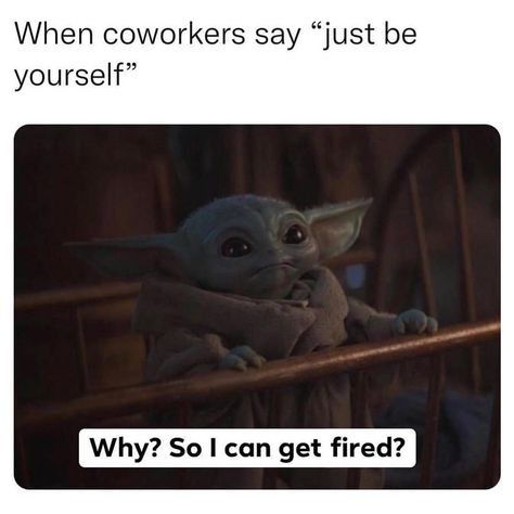 Job Memes, Workplace Humor, Yoda Funny, Dark Jokes, Sarcasm Only, Work Memes, March 27, When You Love, Nurse Humor