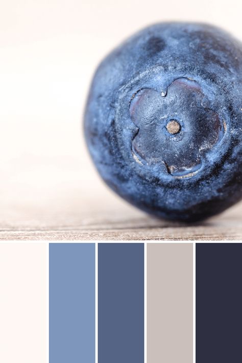 Blueberry Palette, Blueberry Color Palette, Blueberries Aesthetic, Nice Cake, Color Palette Interior Design, Paint Color Wheel, Colour Pallets, Spring Color Palette, Winter Color Palette