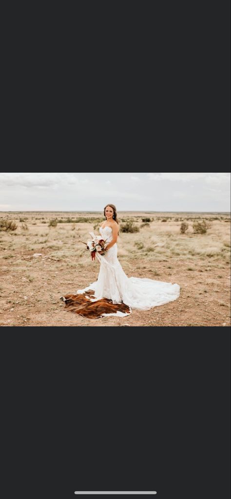 Cow Hide Rugs Wedding, Cowhide Rug Wedding Ceremony, Cow Hide Branding At Wedding, Highland Cow Wedding Photos, Wedding Photos With Cows, Hide Rug, Cow Hide, Cow Hide Rug, Bridal Portraits