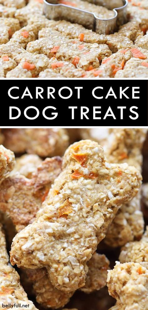 These easy Homemade Dog Treats are made with some of your favorite carrot cake ingredients, but healthy for your fur baby! #dogtreats #dogtreatshomemade #dogtreatshomemadeeasy #homemadedogtreats Savory Dog Treats Recipe, Mini Dog Treats Homemade, Cream Cheese Dog Treats, Winter Dog Treats Homemade, Dog Treats Without Eggs, Safe Homemade Dog Treats, Hemp Dog Treats, Non Refrigerated Dog Treats Recipes, Diy Dog Treats Easy No Bake