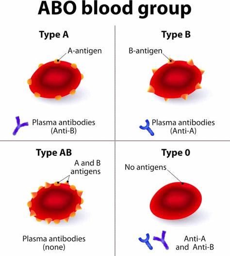 Abo Blood Group System, Blood Group, Science Laboratory, Medical Lab, Basic Anatomy And Physiology, Biology Facts, Medical Student Study, Medical Laboratory Science, Blood Groups