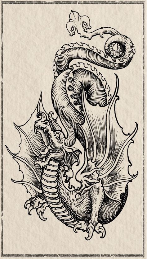 Medieval Mythical Creatures, Medevil Dragon, Medieval Dragon Art, Woodcut Tattoo Design, Medieval Woodcut Art, Medieval Art Tattoo, Midevil Tattoo Design, Etching Style Tattoo, Engraving Style Tattoo