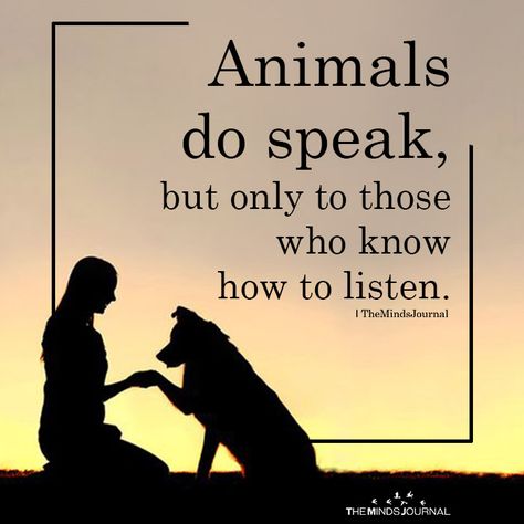 Animals Do Speak - https://themindsjournal.com/animals-do-speak/ Animal Lover Quotes, Animal Communication, Now Quotes, Dog Quotes Love, Animal Based, Animal Guides, Baby Puppies, Animal Quotes, People Quotes