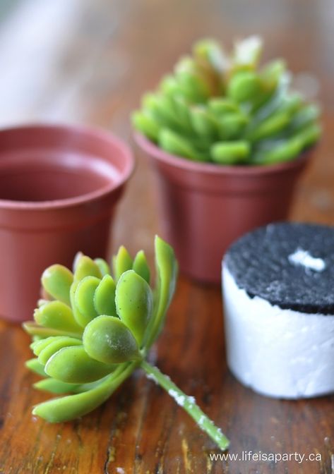 How To Make Fake Succulent Arrangements, Diy Fake Succulents, Plastic Succulents Diy, Succulent Centerpieces Diy, Faux Succulent Arrangements Diy, Fake Succulent Arrangements Diy, Diy Fake Succulents Decor, How To Make Fake Plants Look Real, Fake Succulent Arrangements