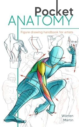 Learn To Draw Anatomy, Anatomy Figure Drawing, How To Draw Human, Beginner Drawing Lessons, Human Anatomy For Artists, Draw Human, Human Figure Sketches, Human Anatomy Drawing, Best Anime Drawings