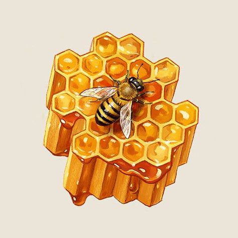 Honeycombs Drawings, Honey Bee Drawing, Honey Art, Natural Form Art, Tatoo Inspiration, Bee Drawing, Painted Pots Diy, School Murals, Live Screen Wallpaper